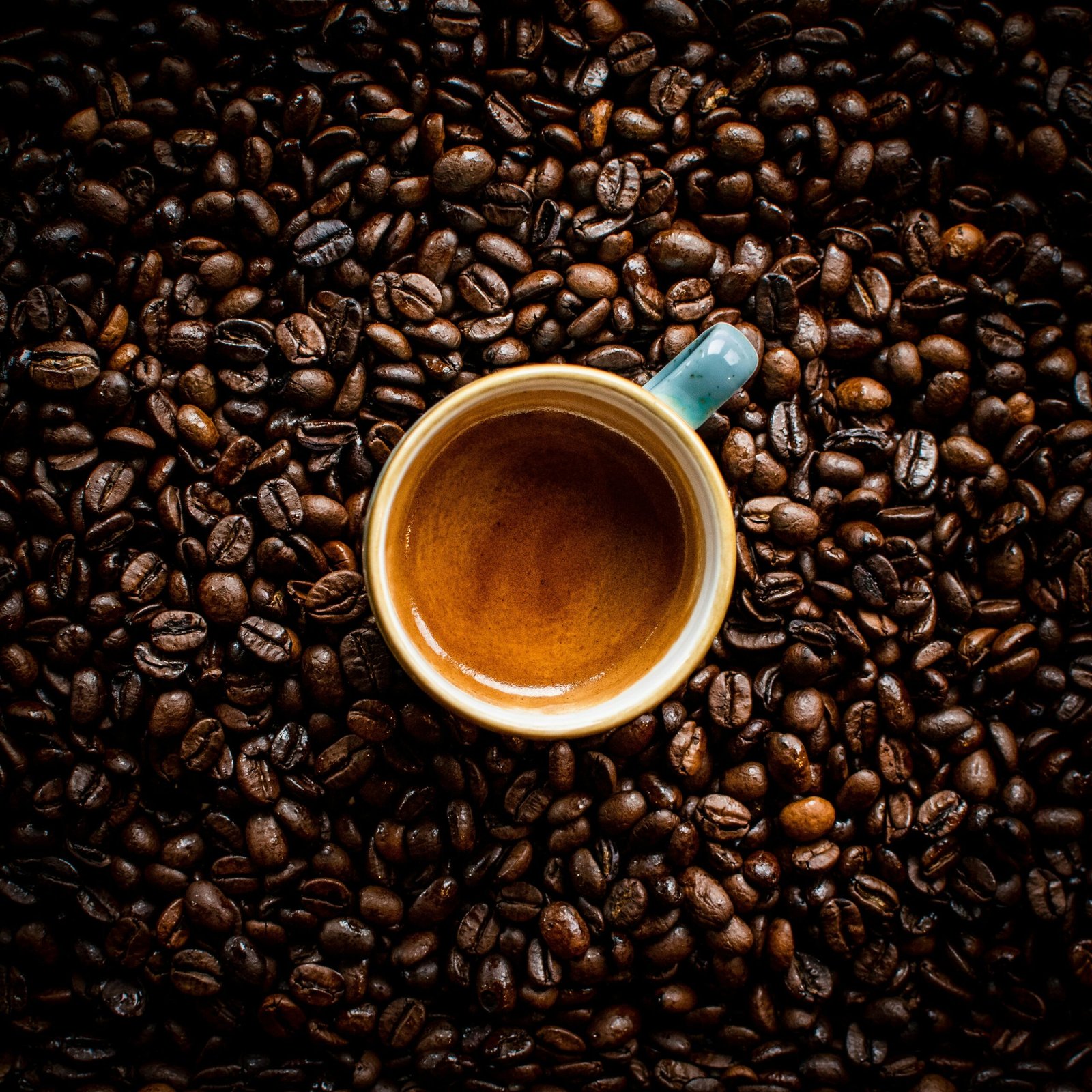 Specialty Green Coffee Bean Inspection - Pure Batch UAE