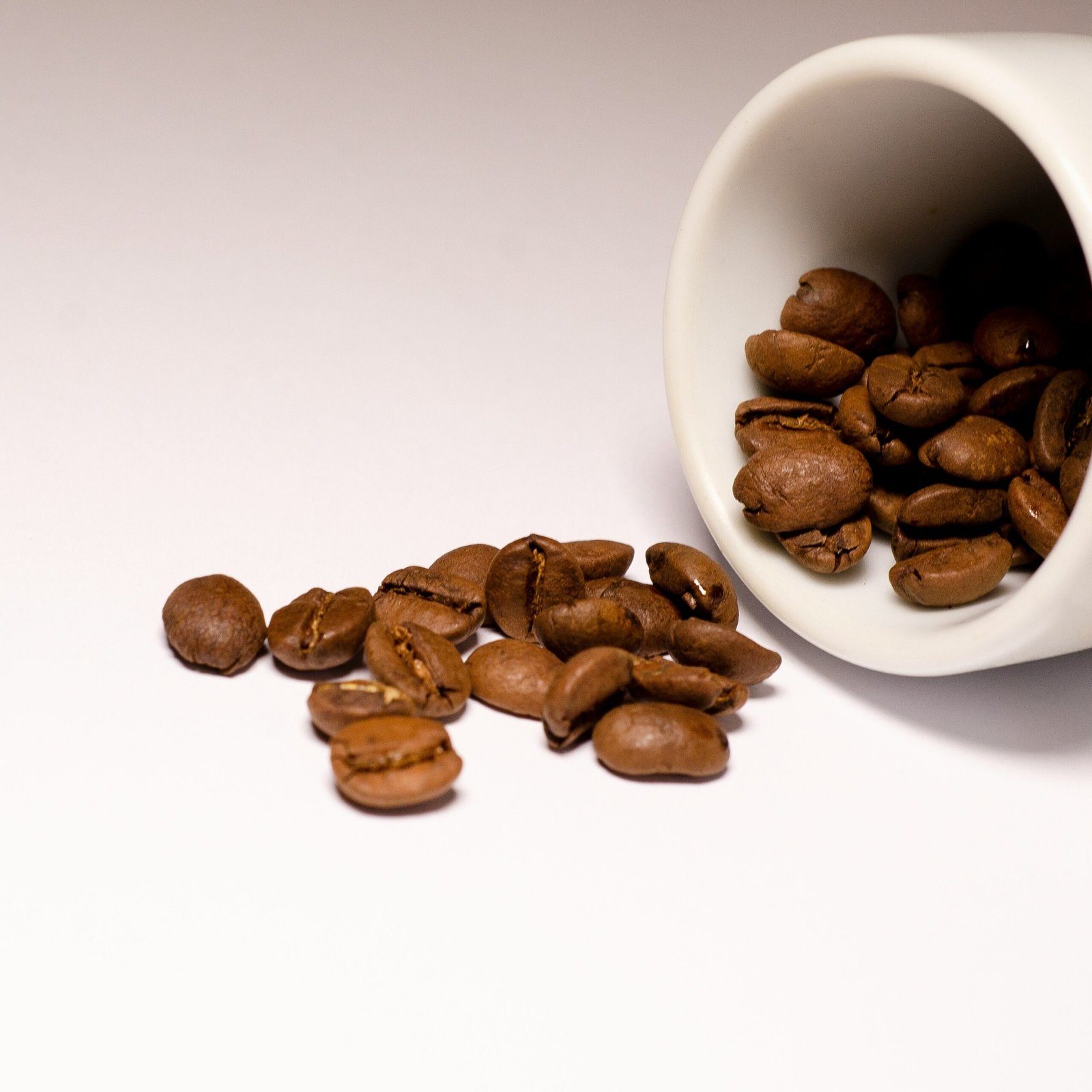 Specialty Coffee Sample Cupping and Quality Evaluation - Pure Batch Dubai