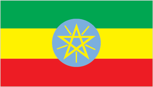 Ethiopia Specialty Green Coffee Origin - Pure Batch UAE
