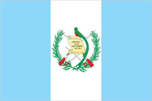 Guatemala Specialty Green Coffee Origin - Pure Batch UAE